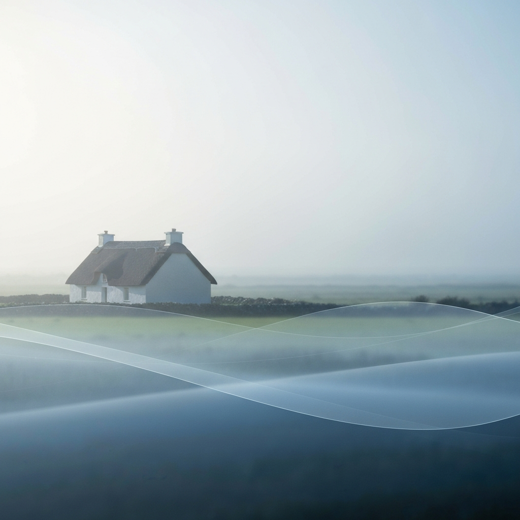 1295 in ireland