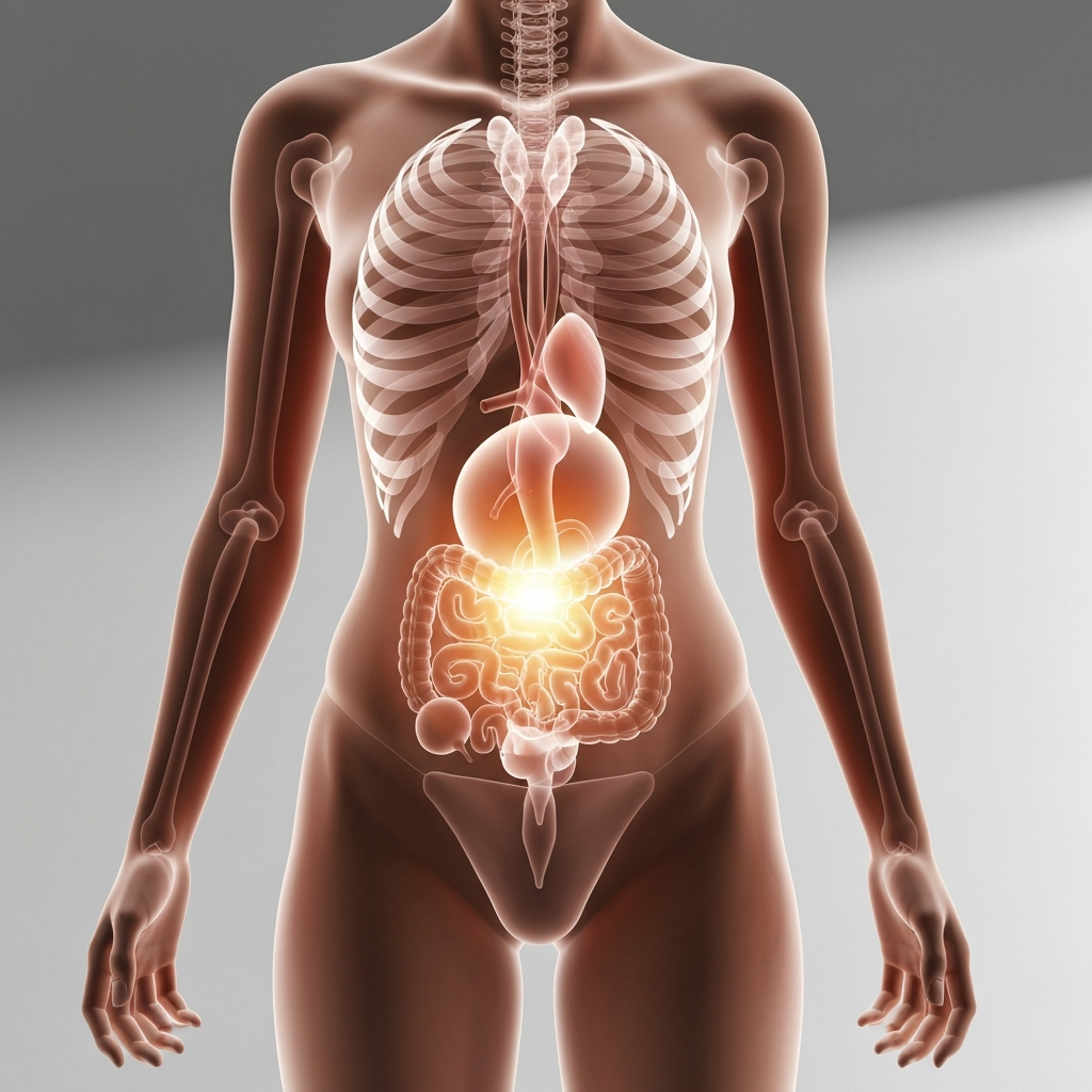 abdominal ultrasonography