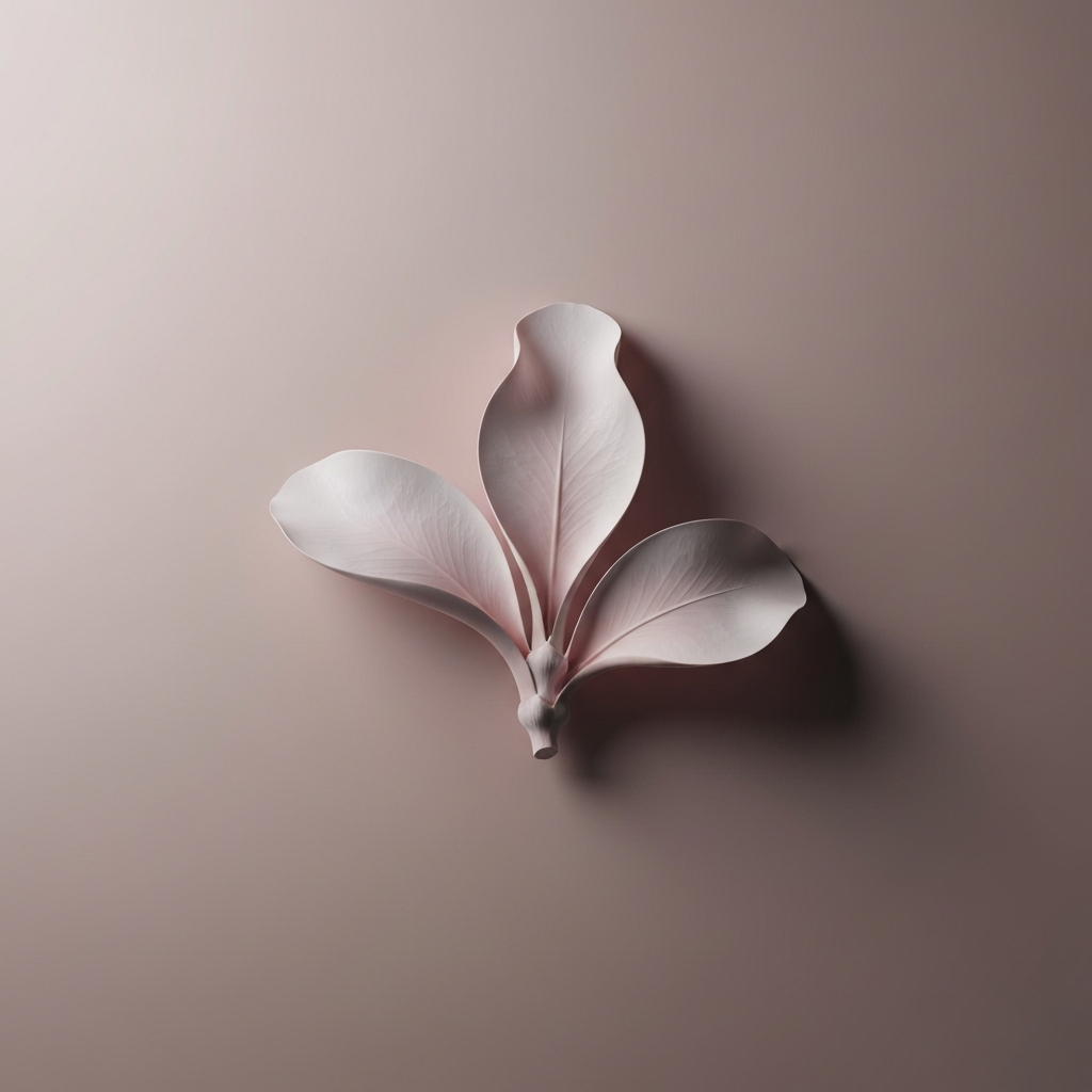 acondylacanthus