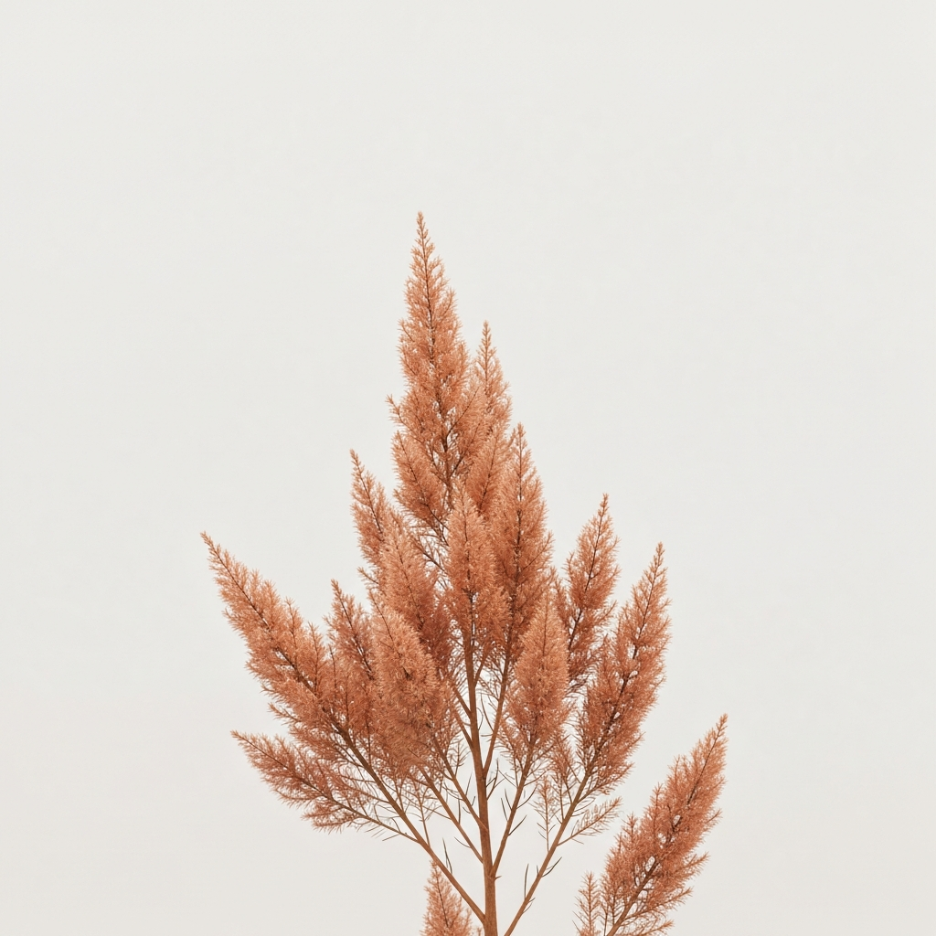 adesmia pinifolia