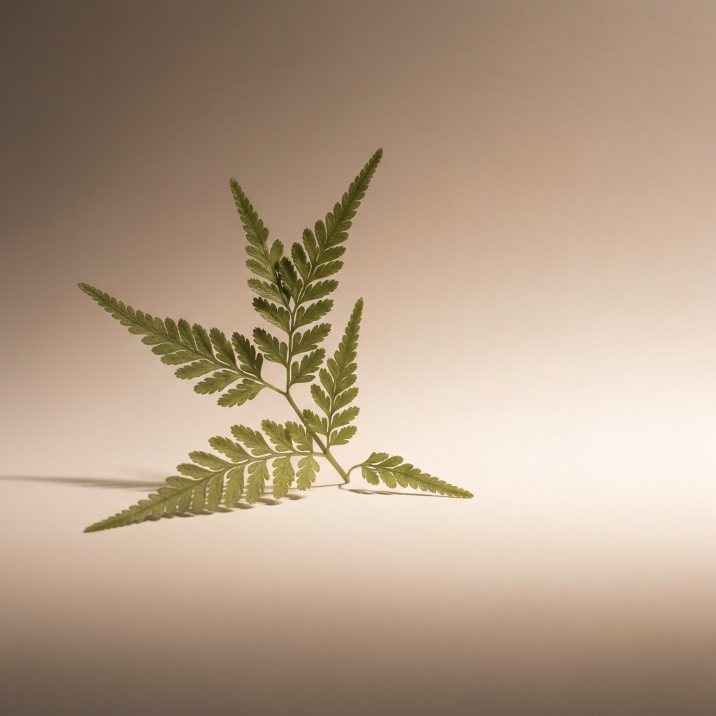 adiantum
