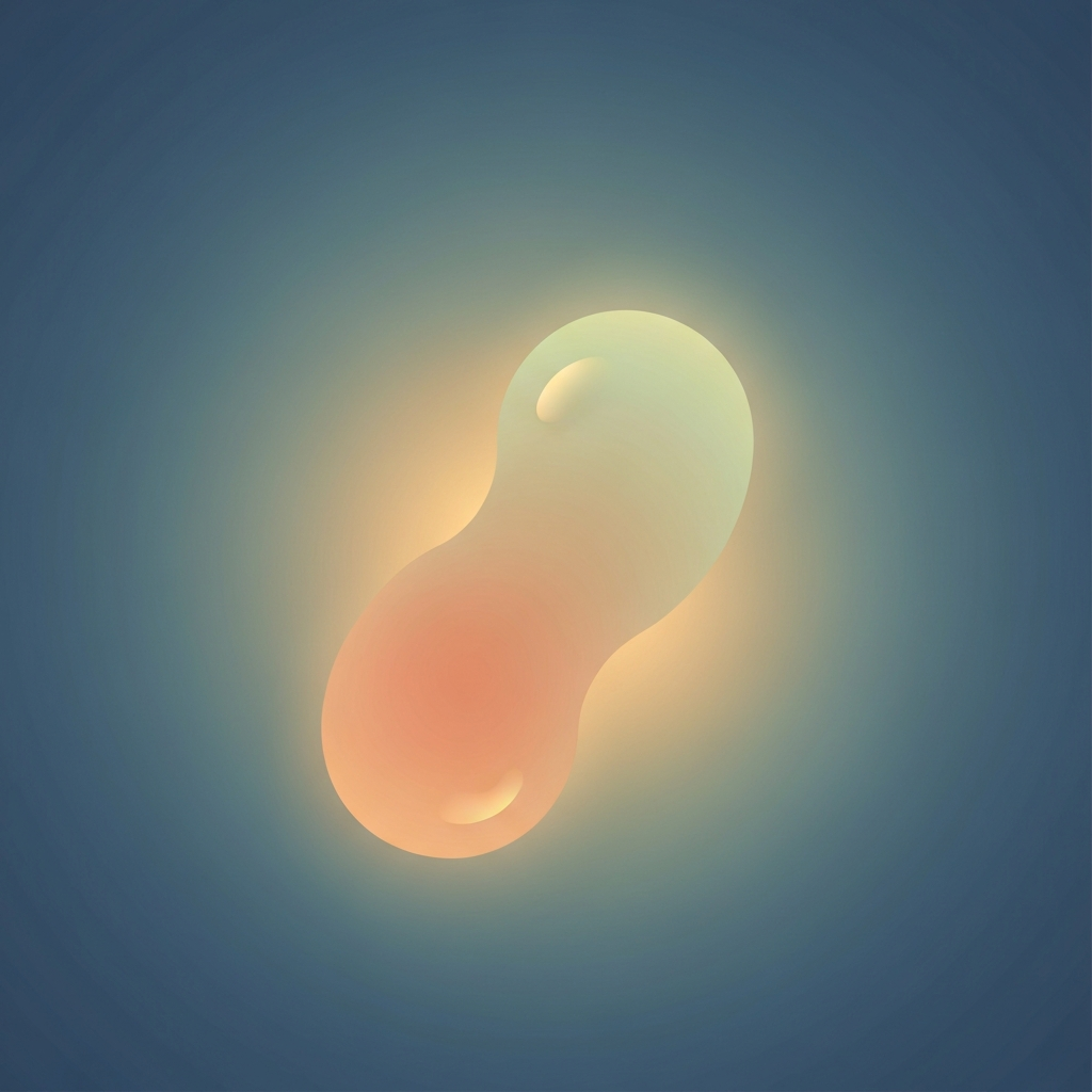 amoeba