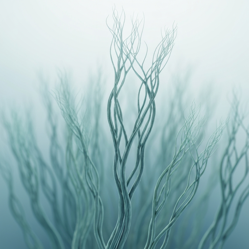 aquatic hyphomycetes