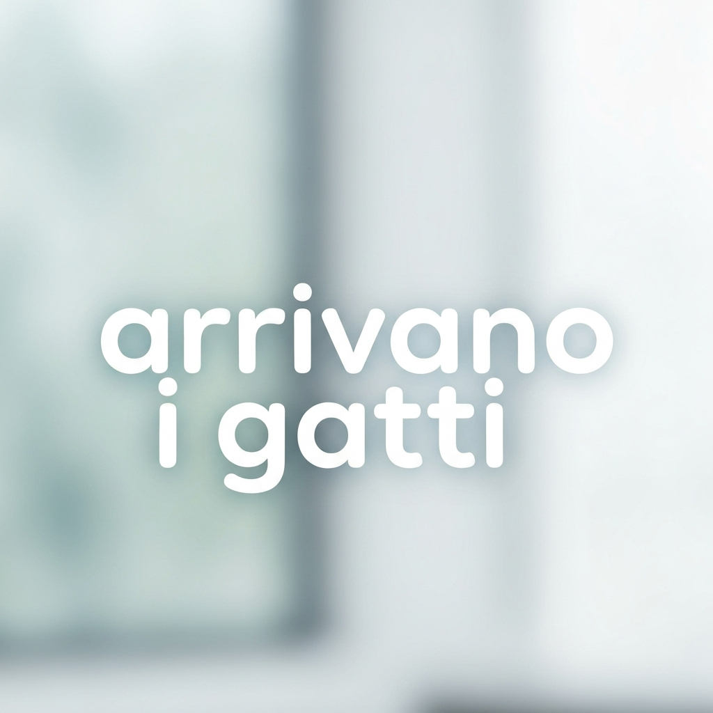arrivano i gatti