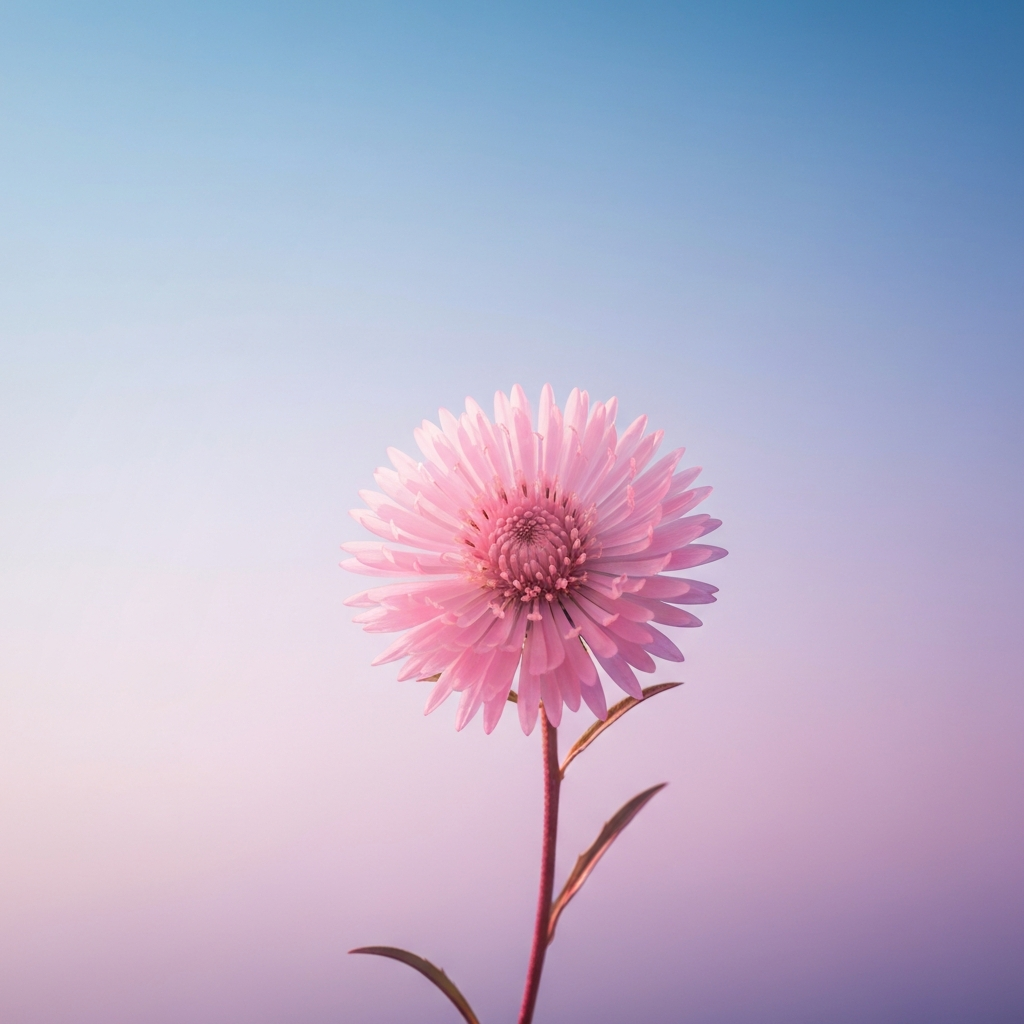 asteraceae
