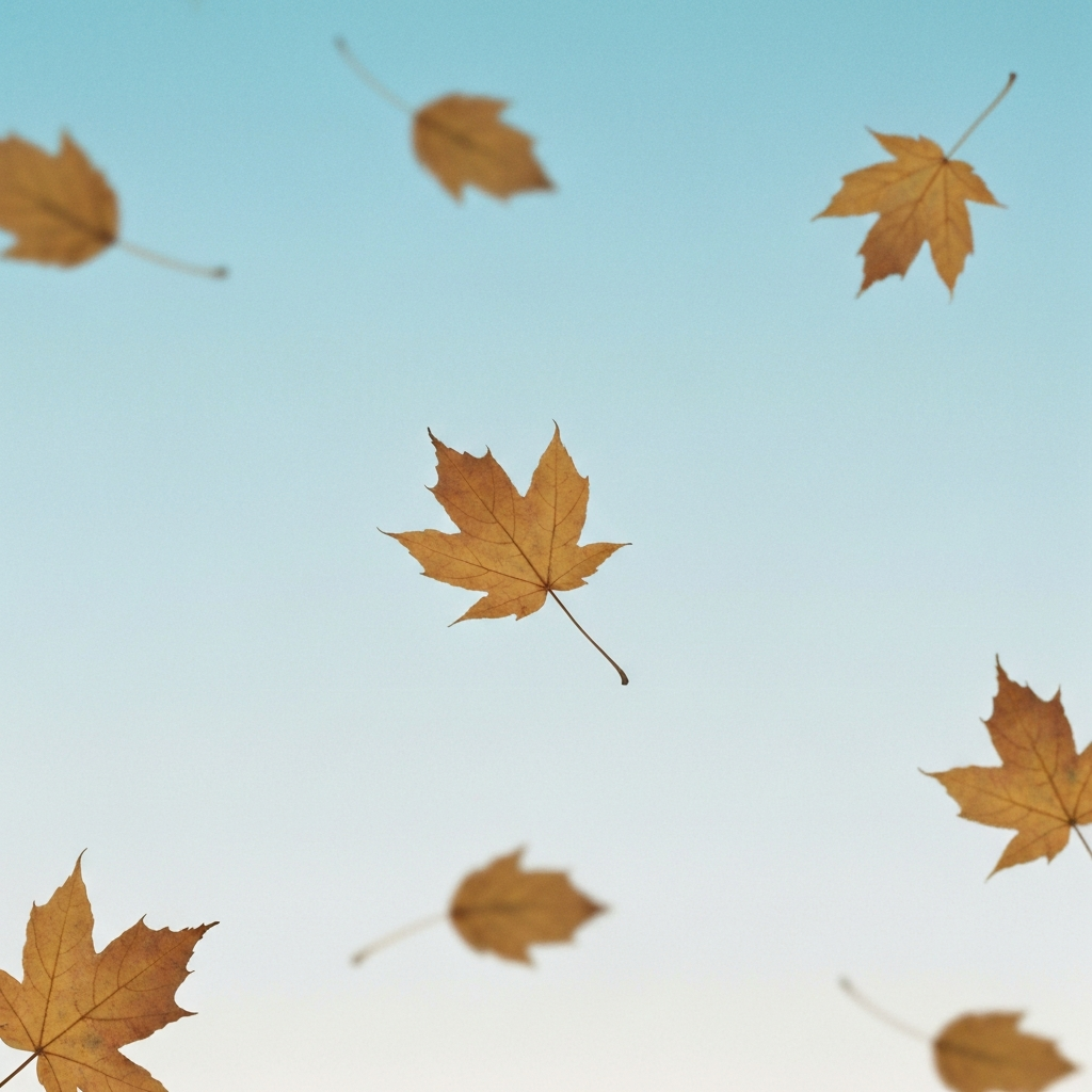 autumn leaves (film)