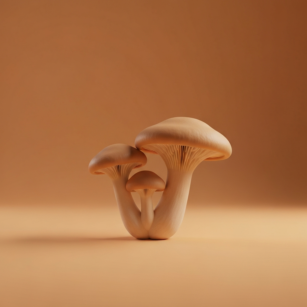 basidiobolomyceta