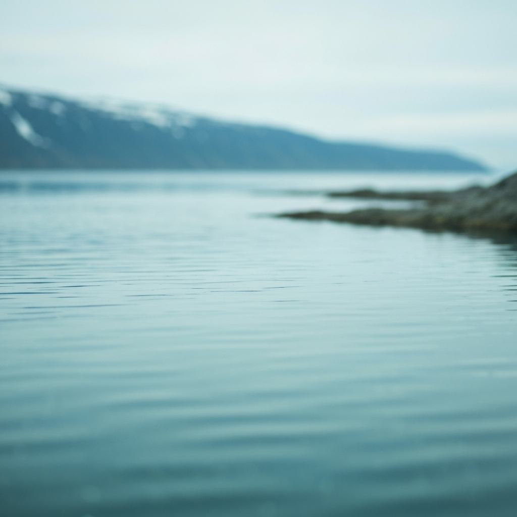 bering sea