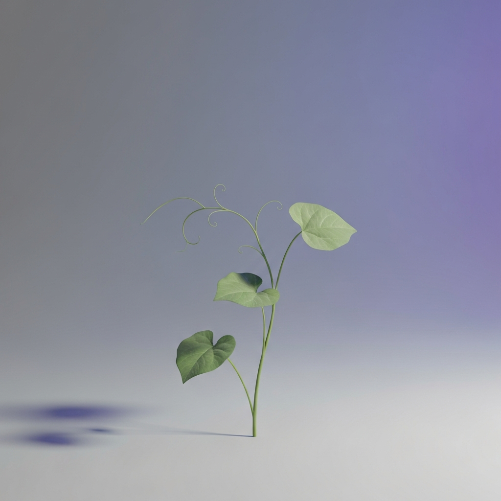 bindweed