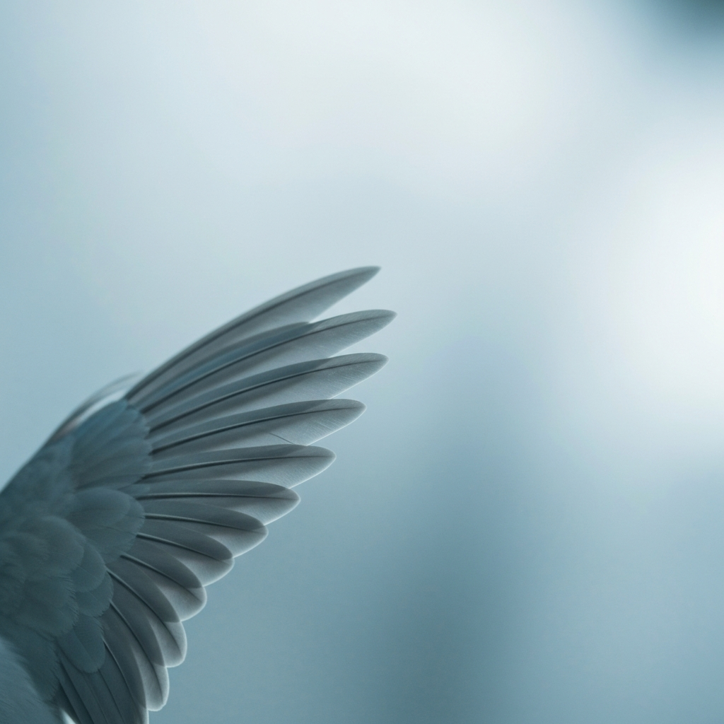 birdwings