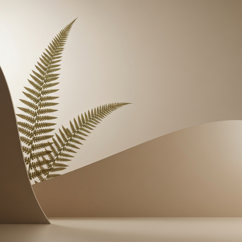 black ferns