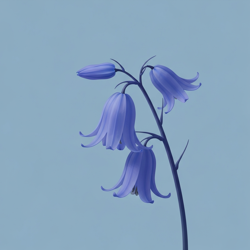 bluebell
