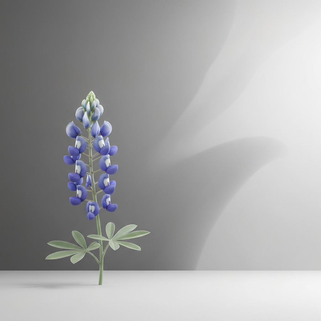 bluebonnets
