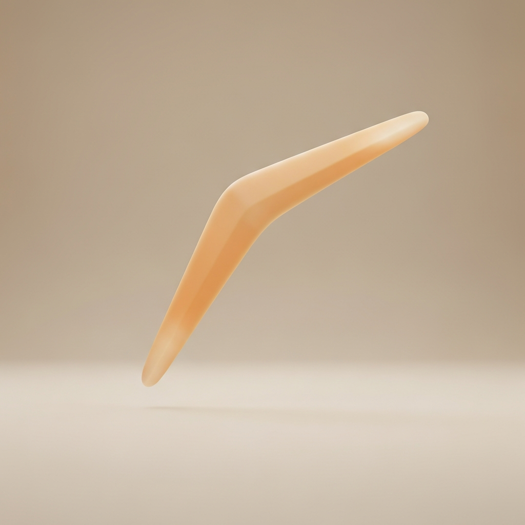 boomerang