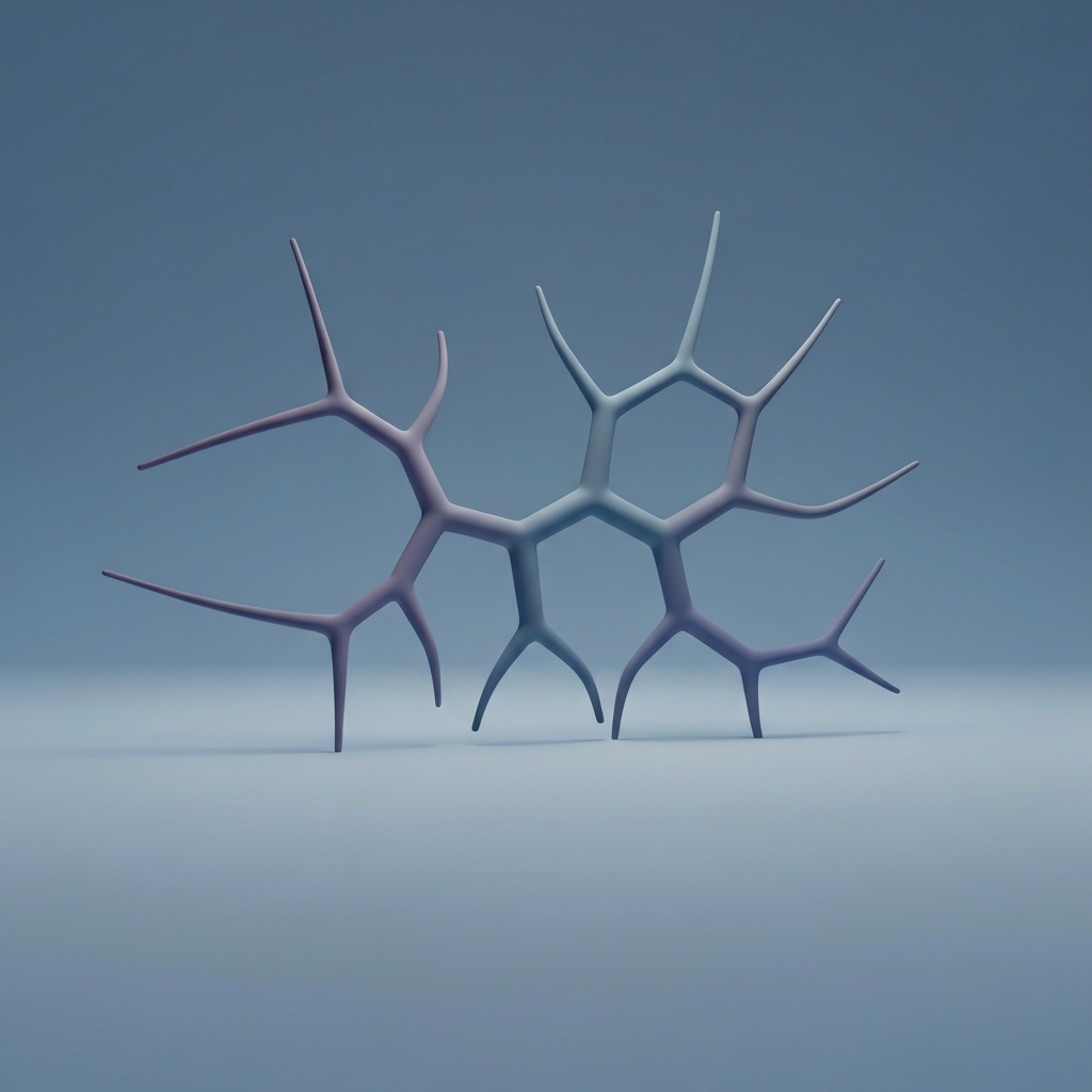 branched manifold