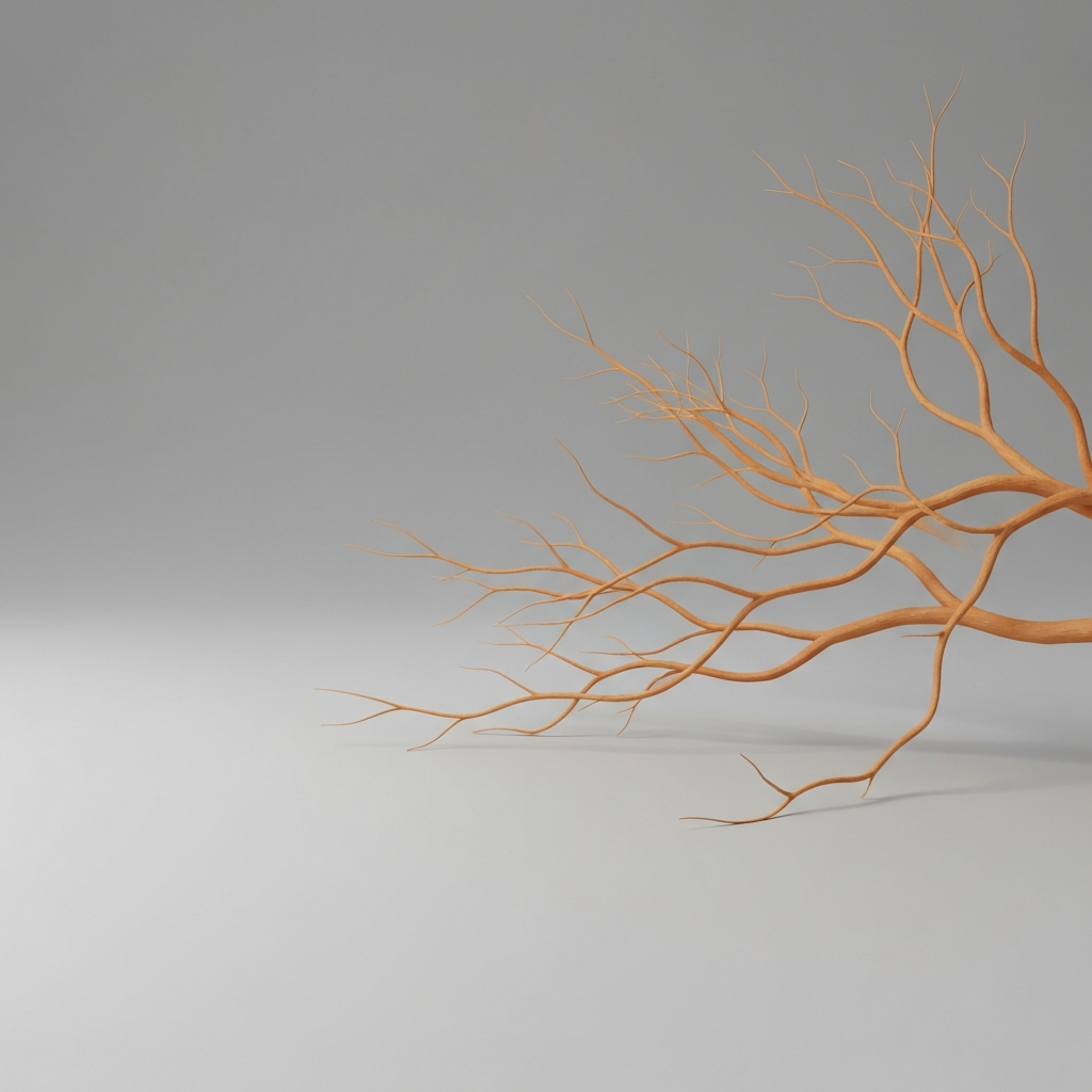 Branches