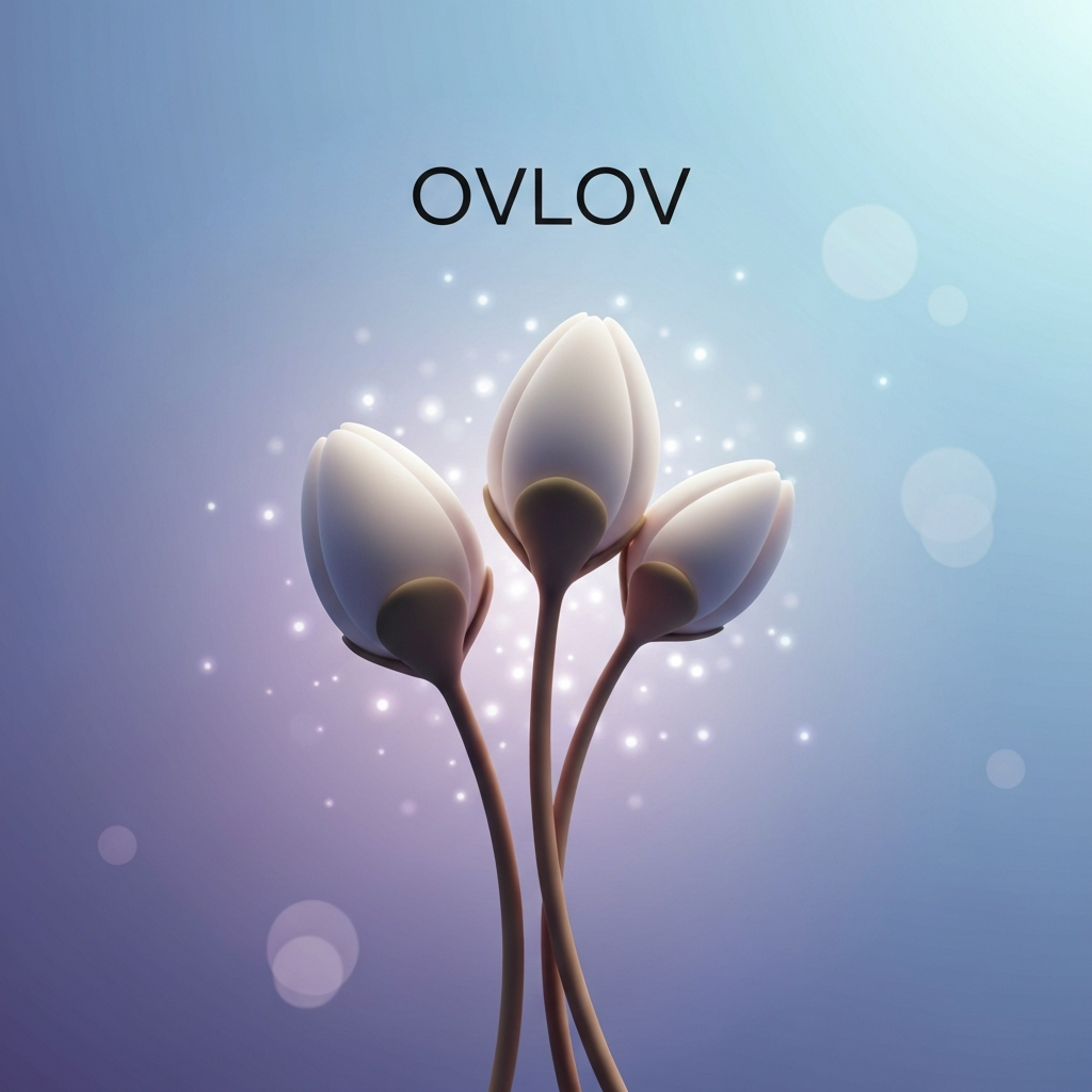 buds (ovlov album)