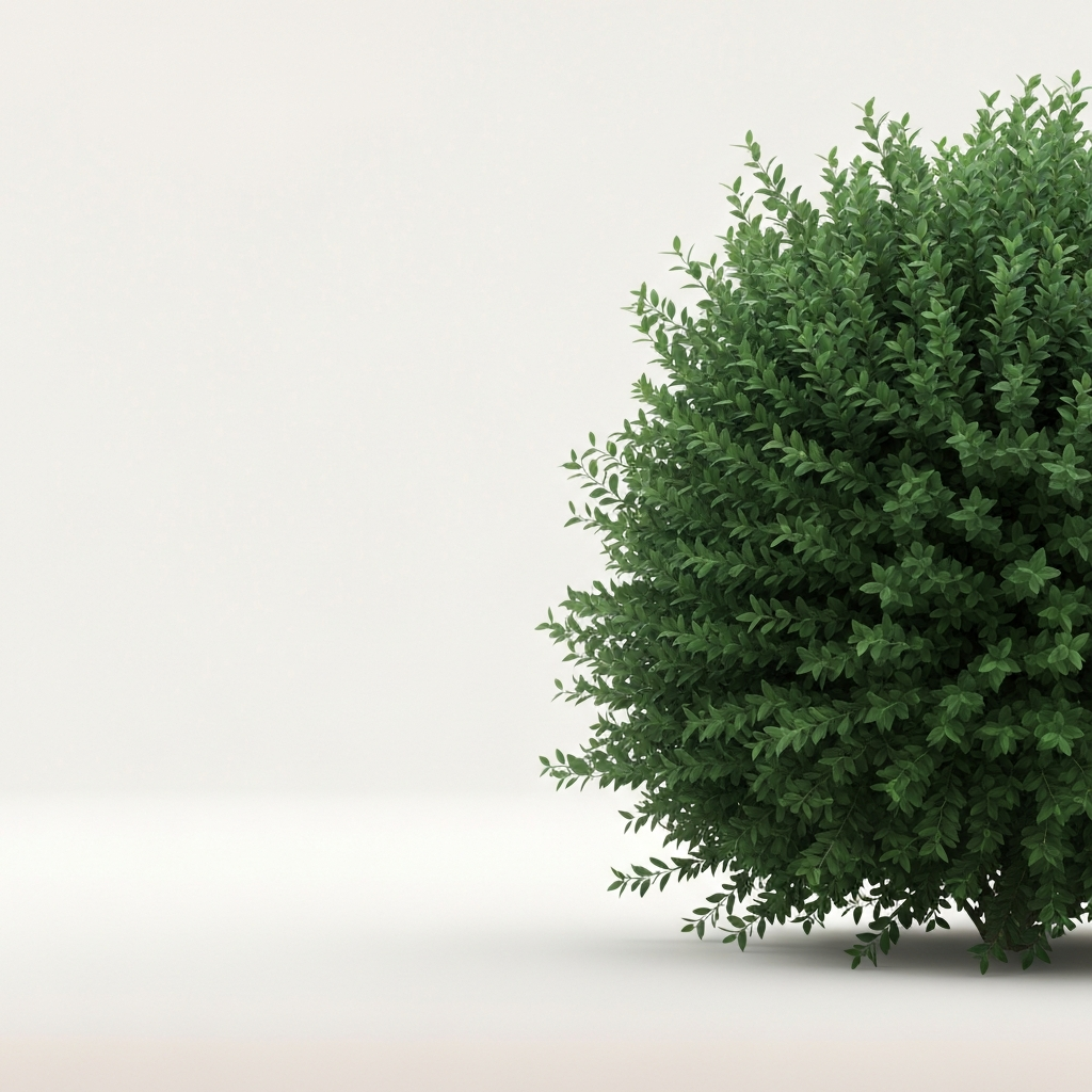 bush