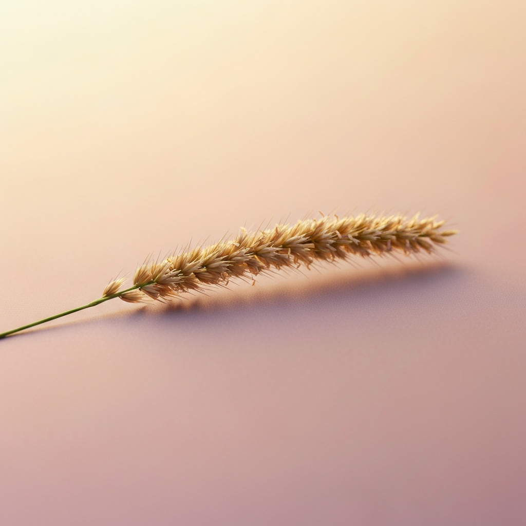 carex inanis