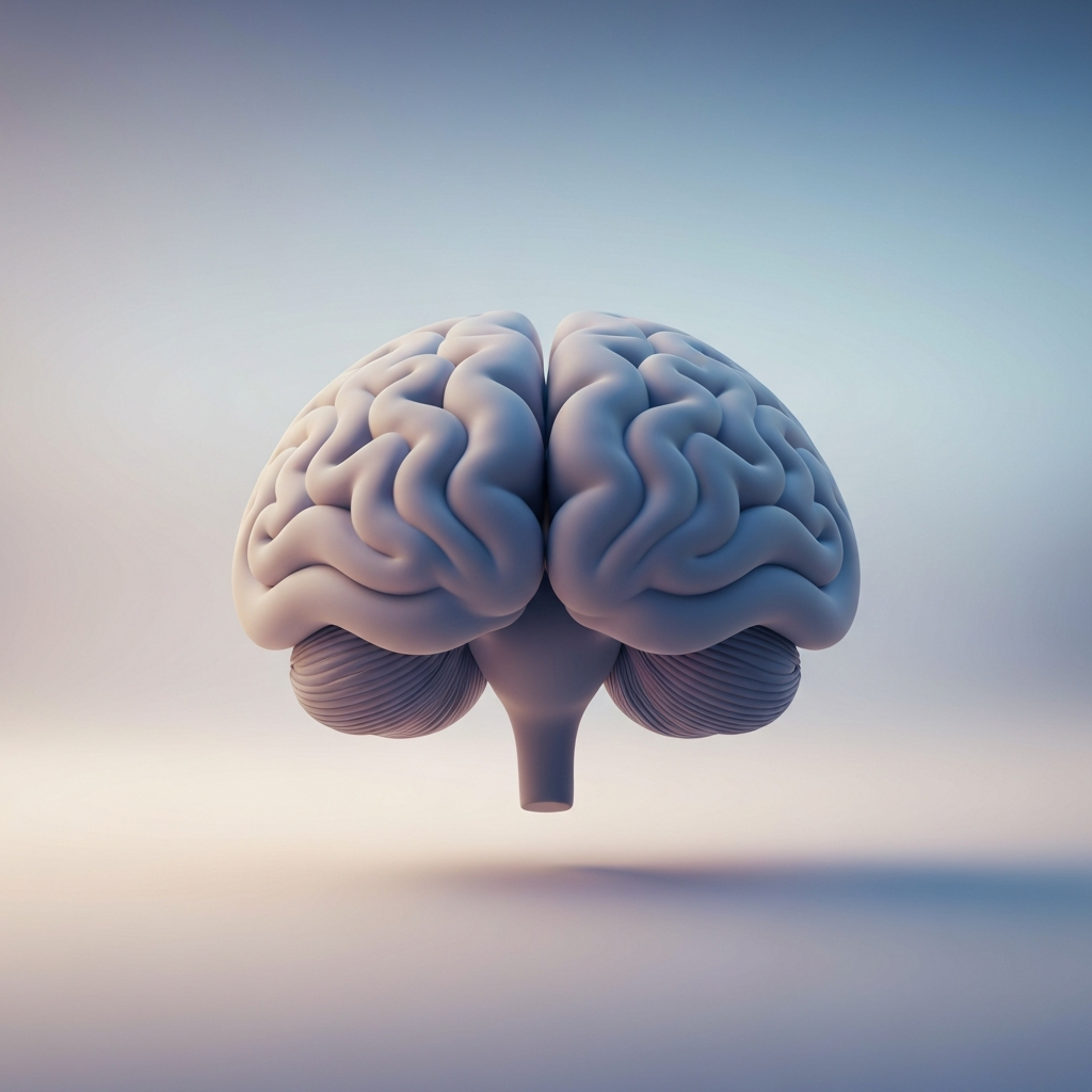 cerebellar