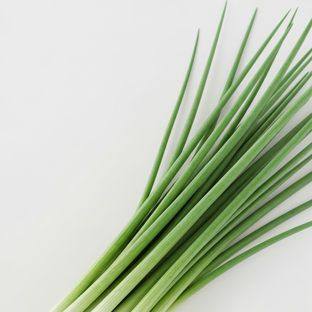 chives