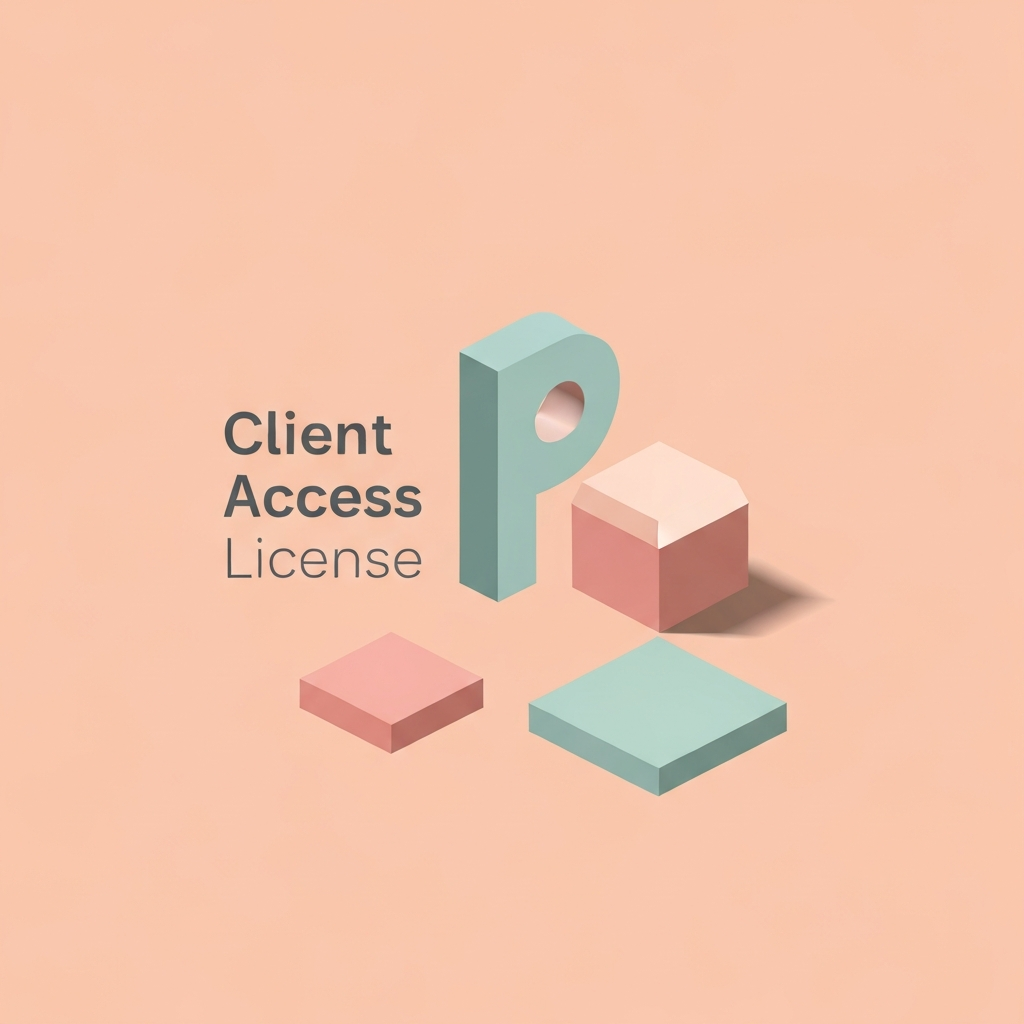 client access license