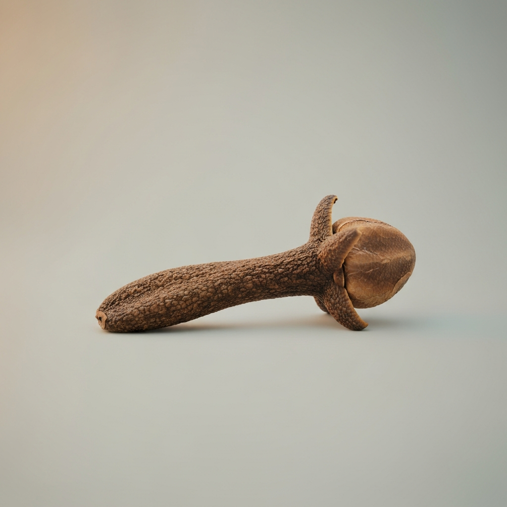 clove