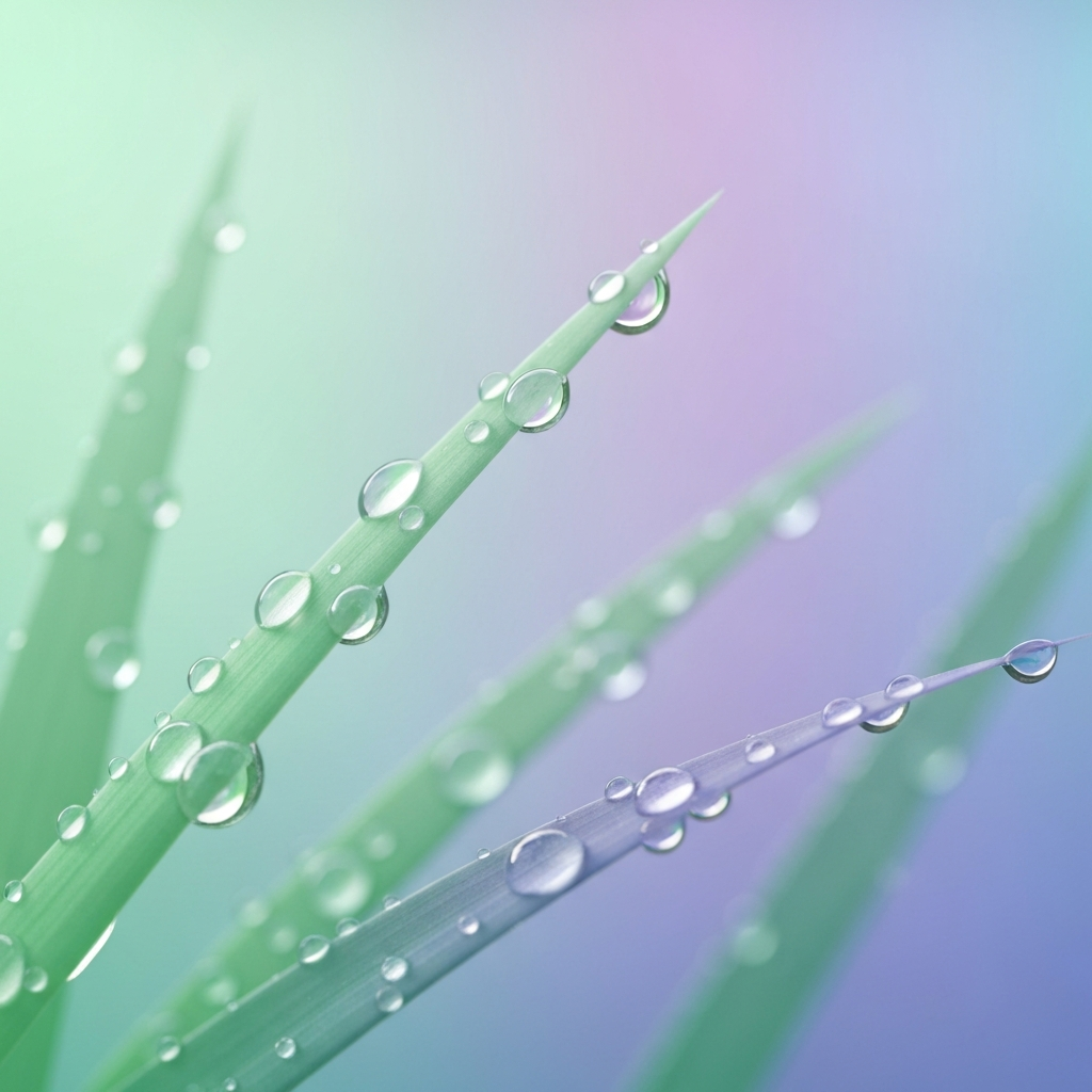 dew