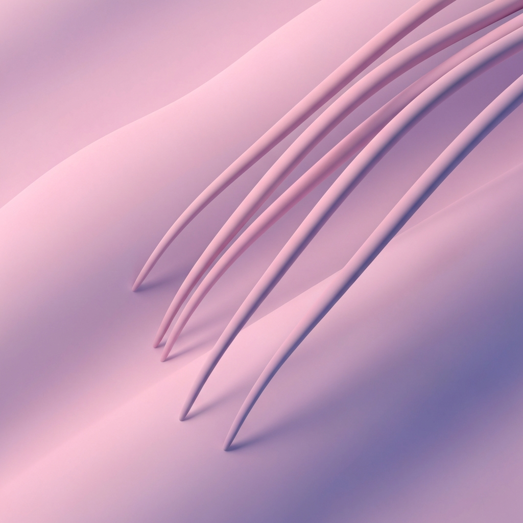 Feelers