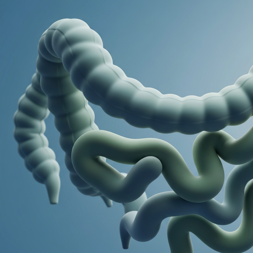 Intestines