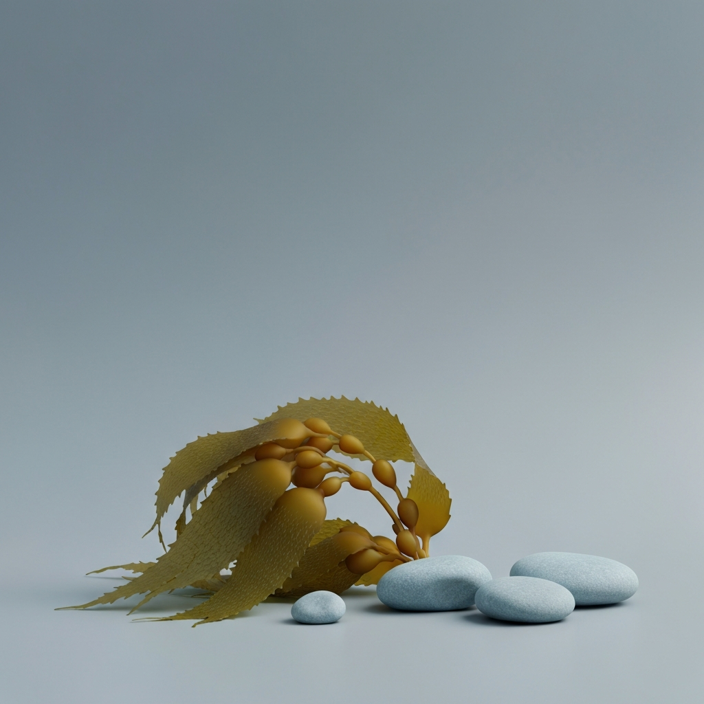 Kelp