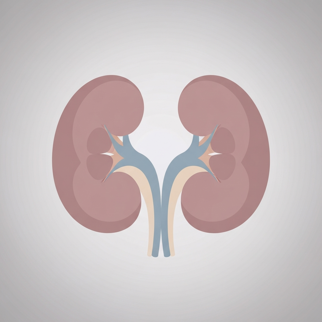 Kidneys