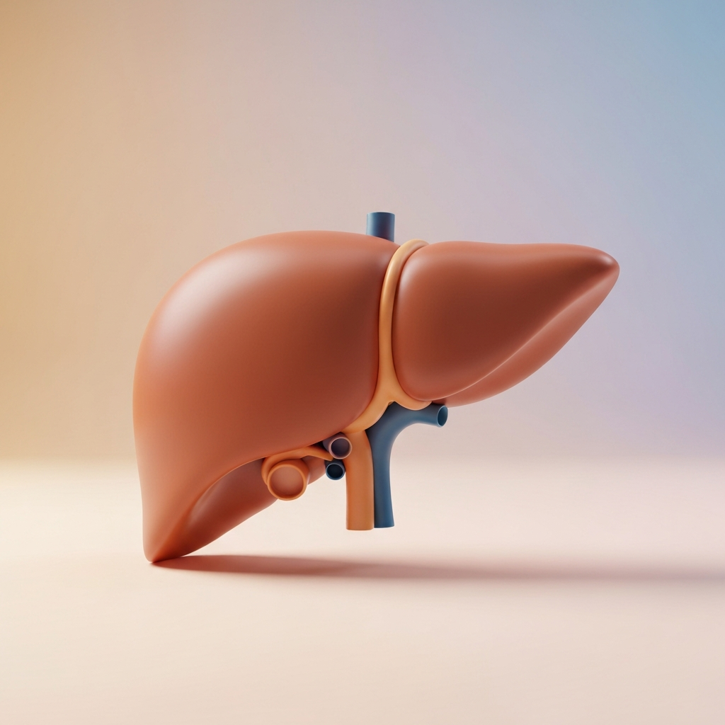 Liver