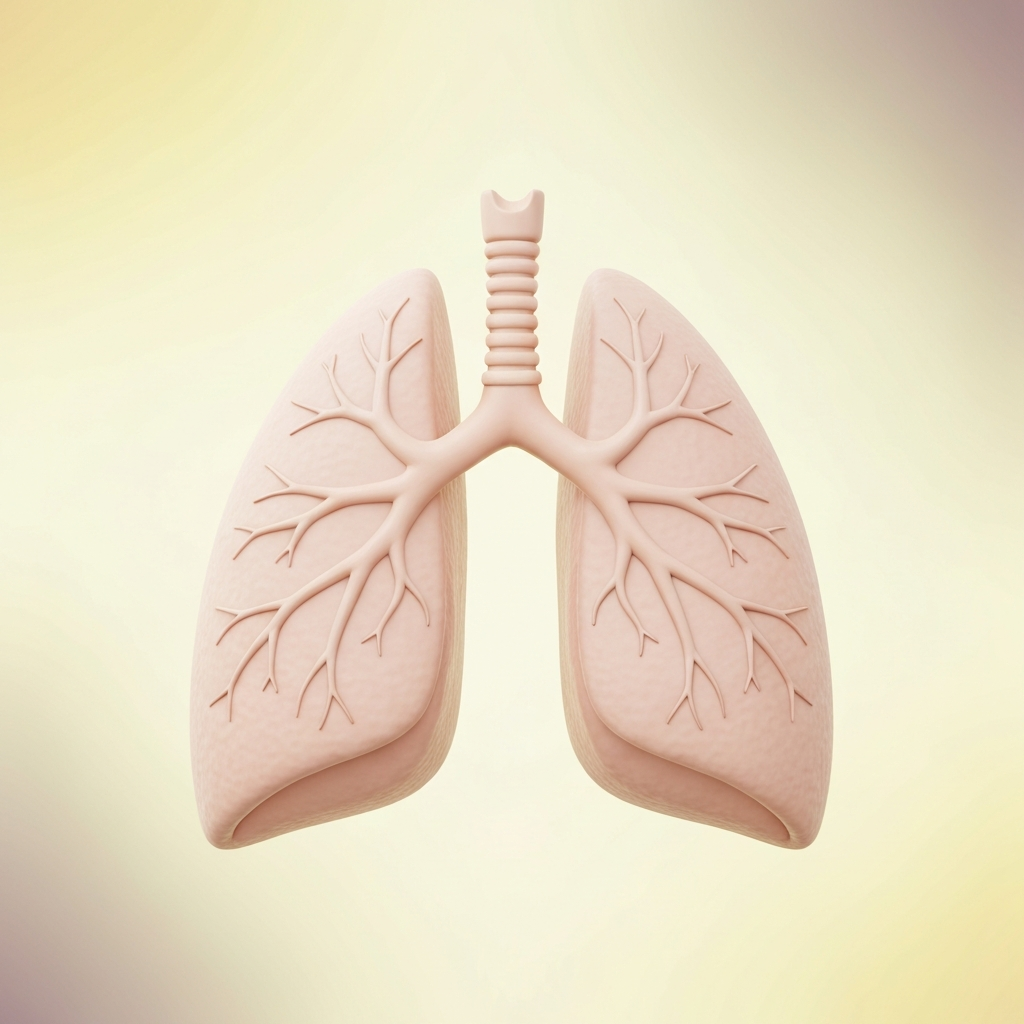 lungs