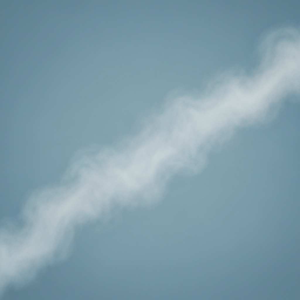 Mist
