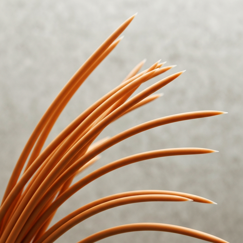 Needles