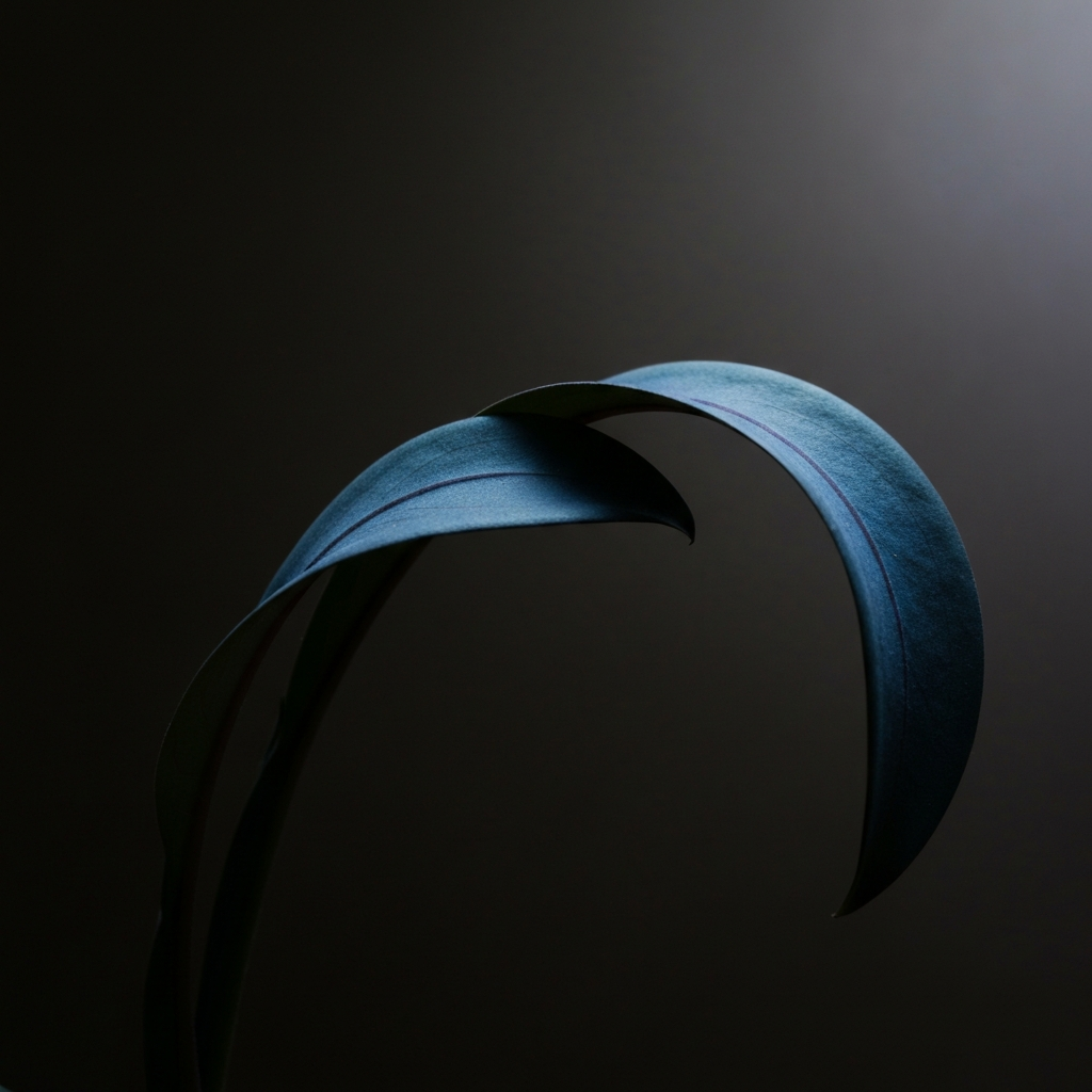 Nightshade