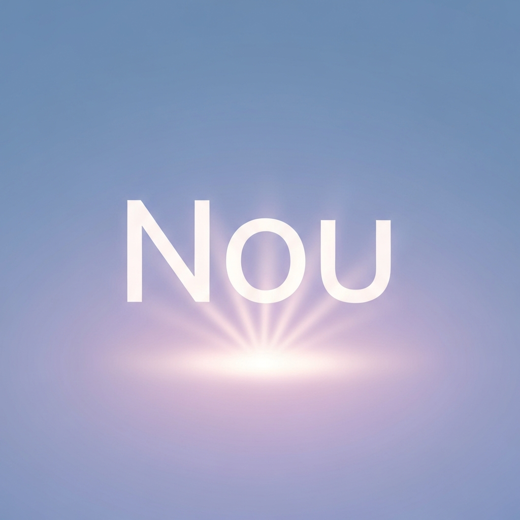 Nou