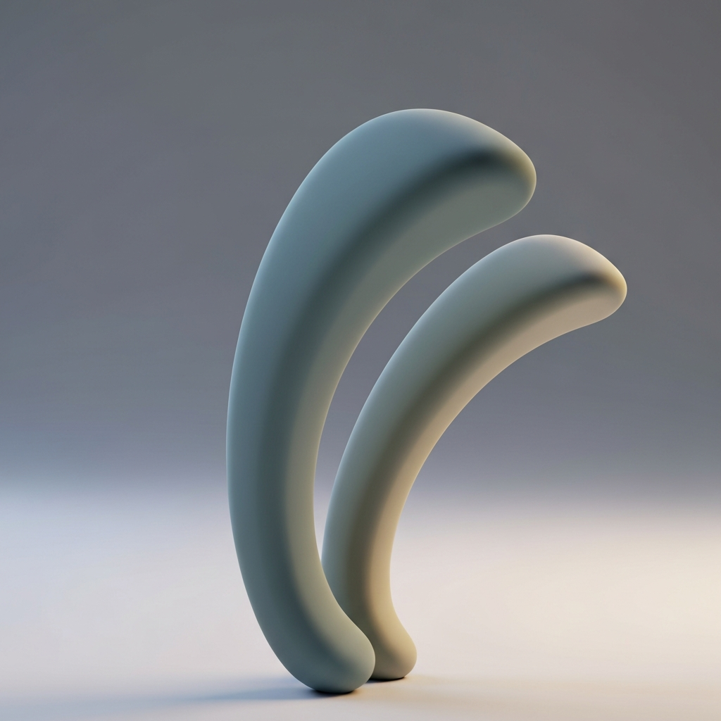 Racket-tails