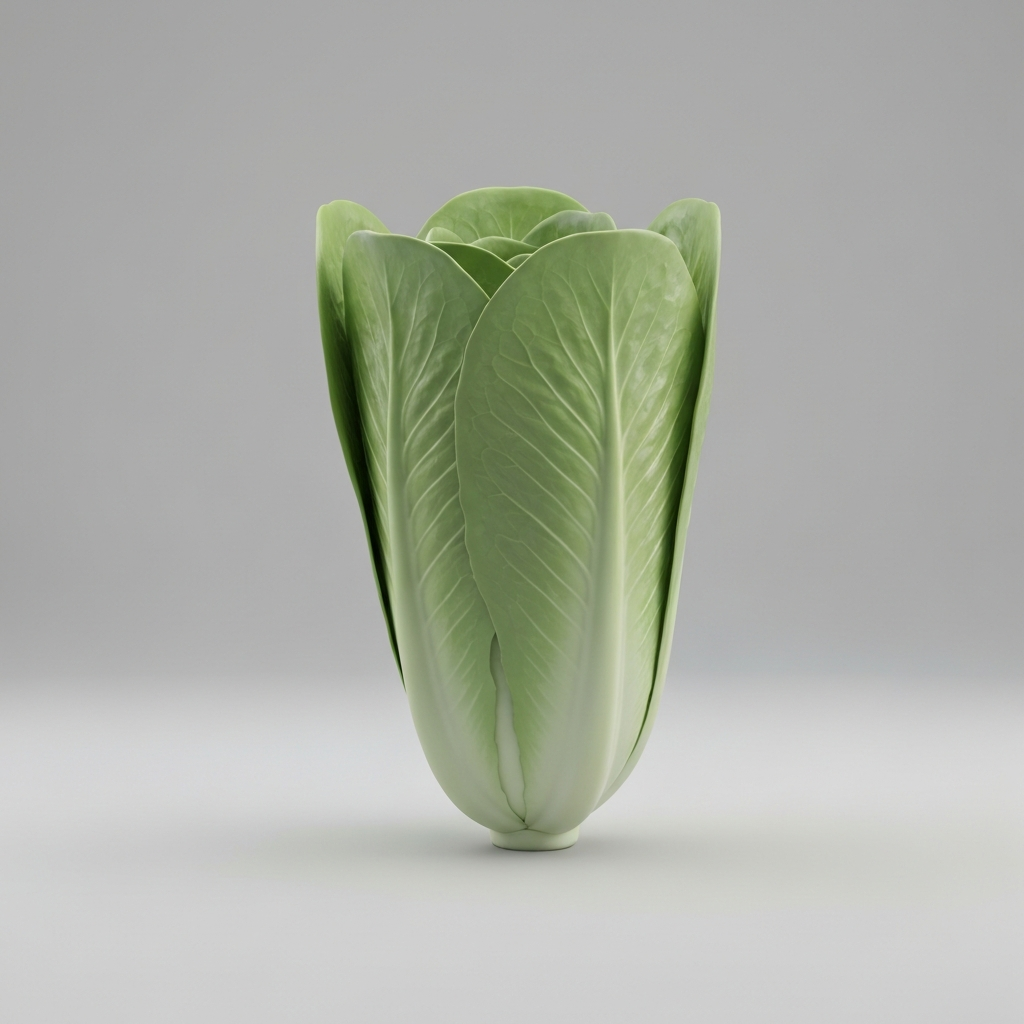 Romaine