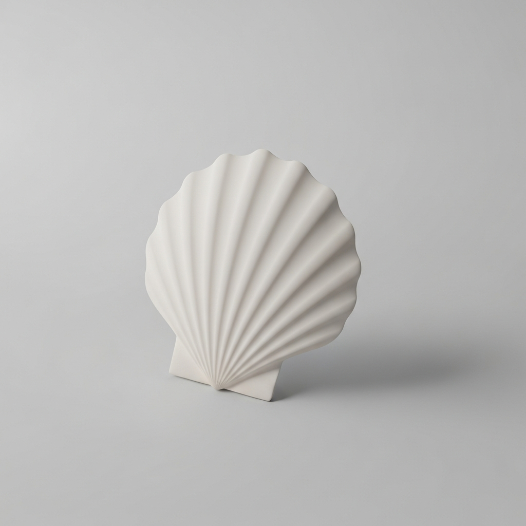 Scallop