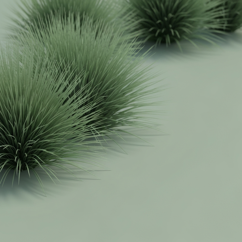 sedges
