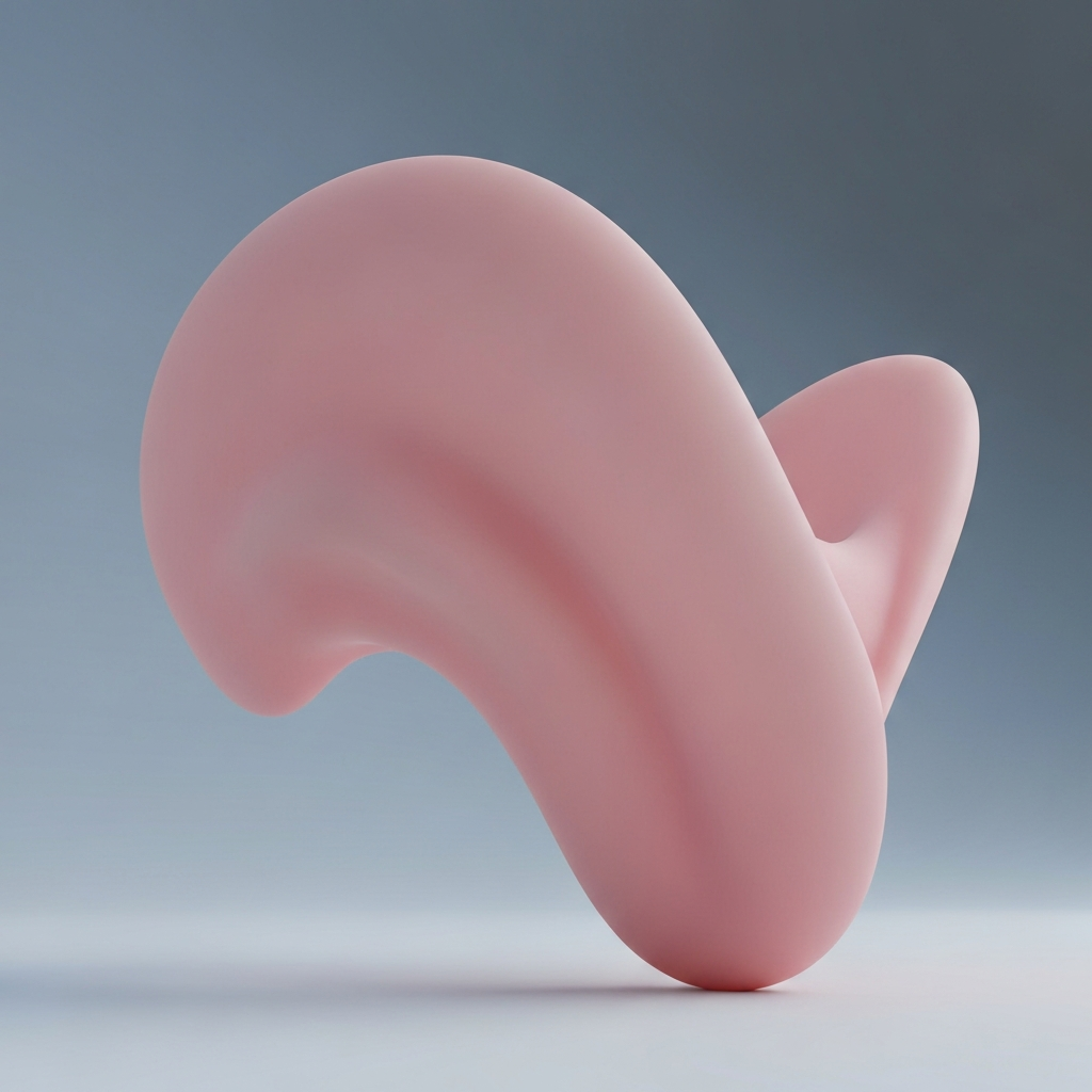 Soft Palate