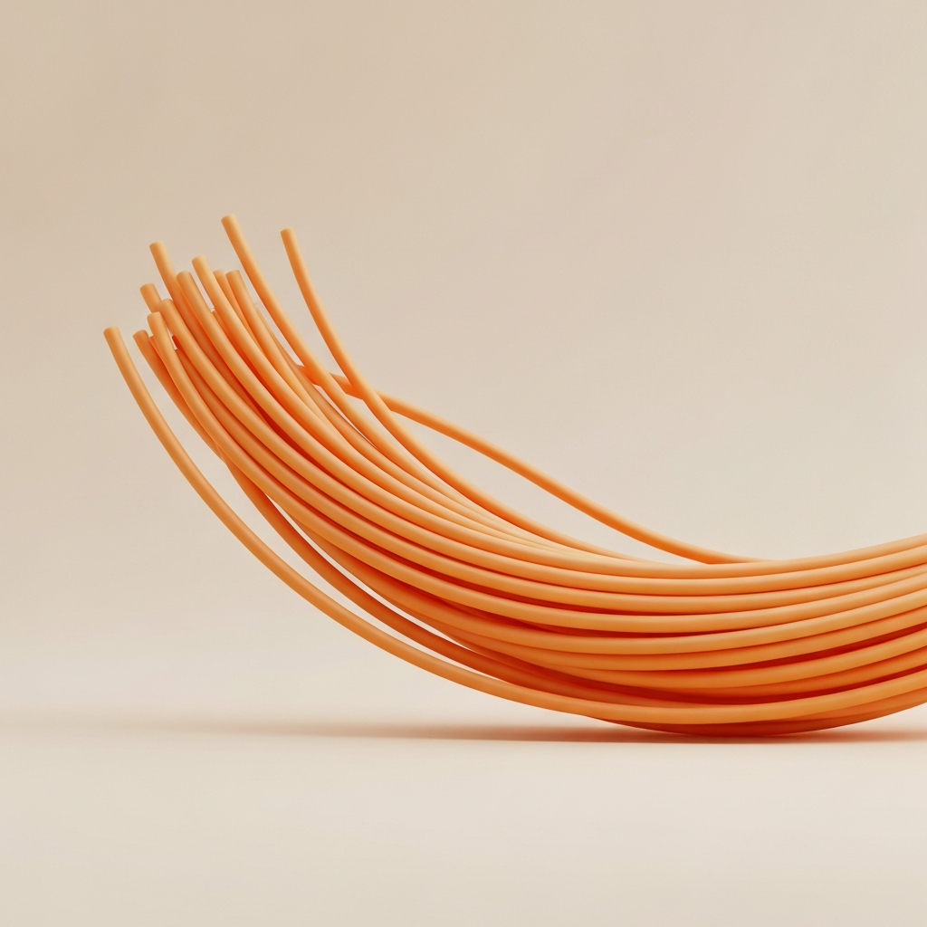 spaghetti