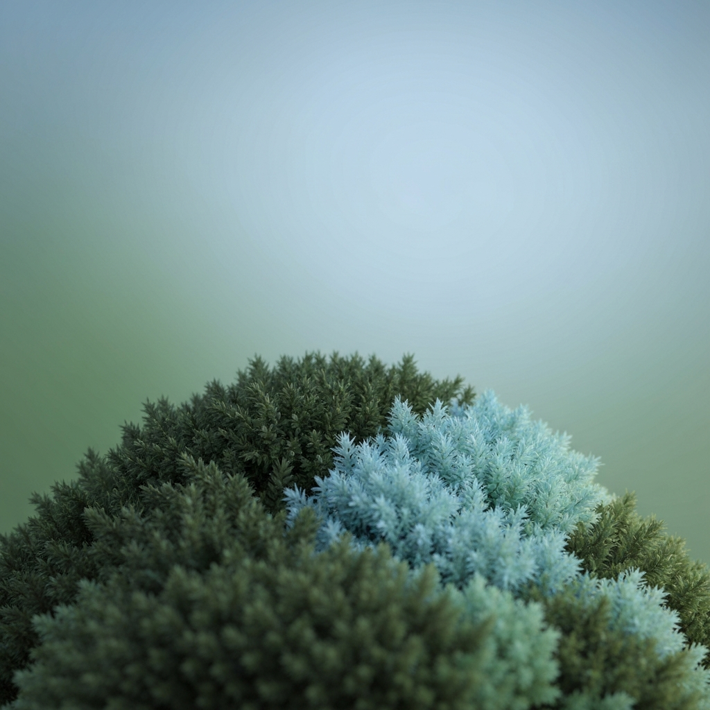 Sphagnum