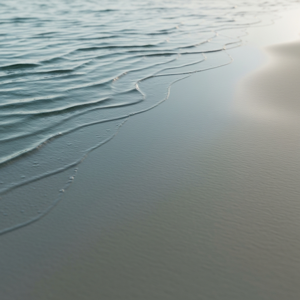 Tide