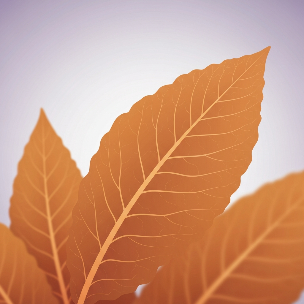 Tobacco