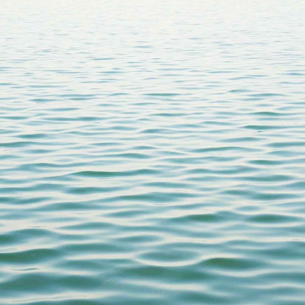waters