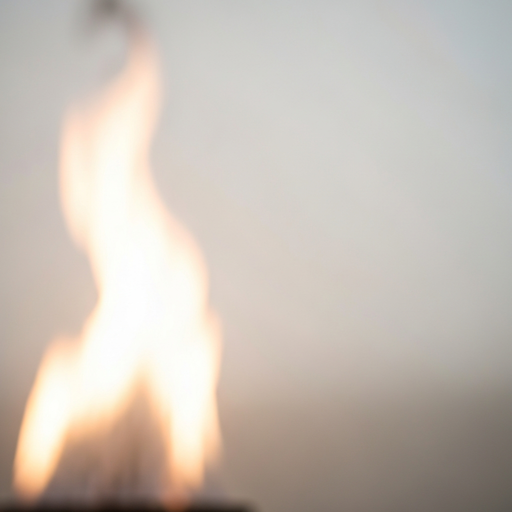 Wildfire