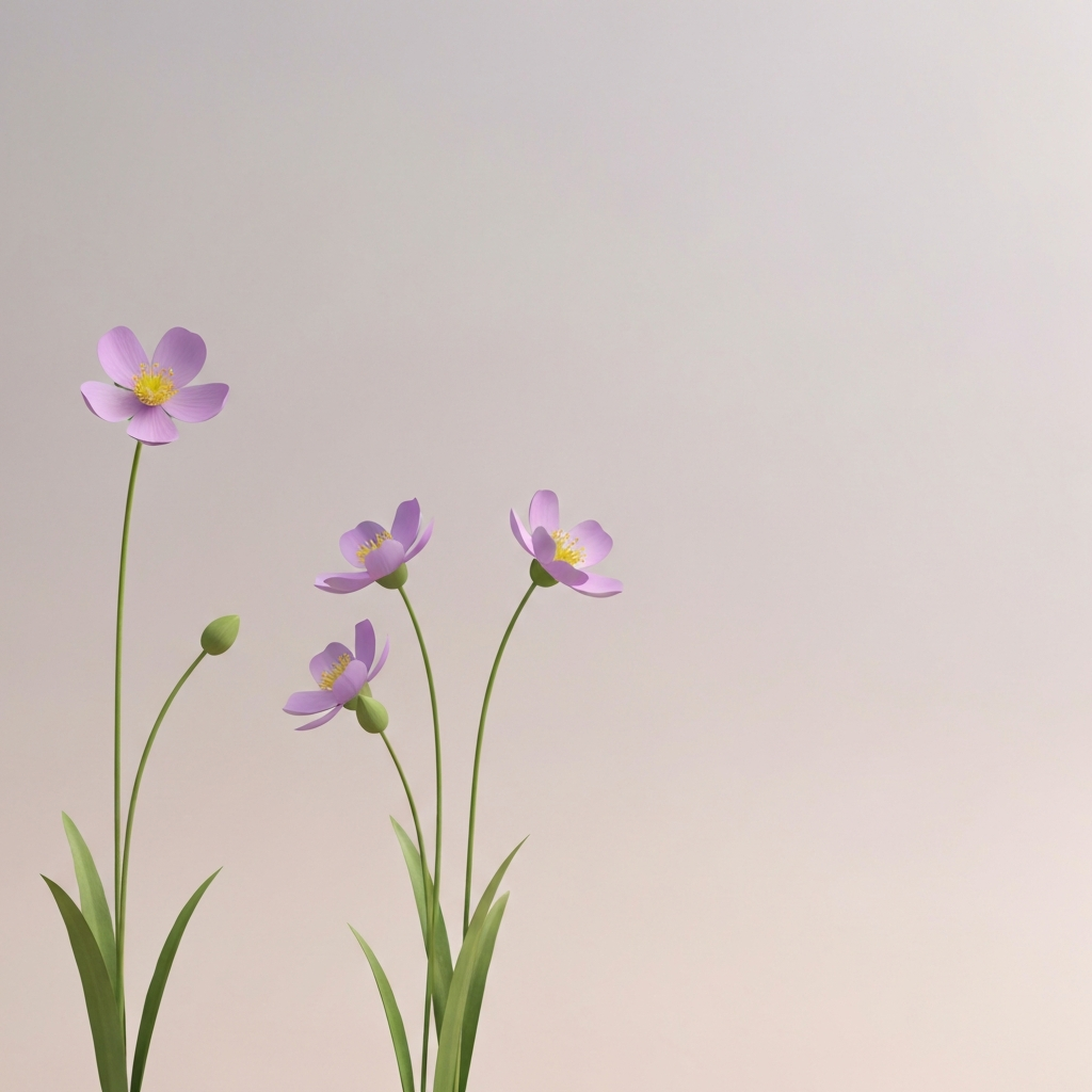 Windflowers